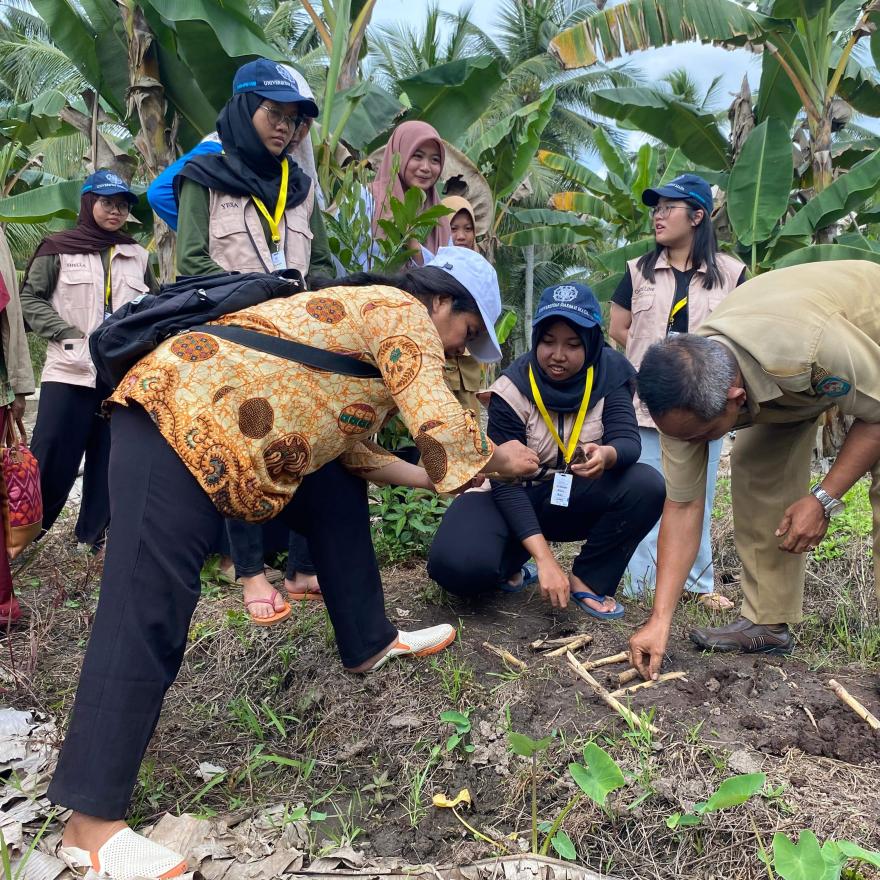 Antusiasme Masyarakat dalam Sosialisasi Penanaman Pakan Ternak Ruminansia Gama Umami